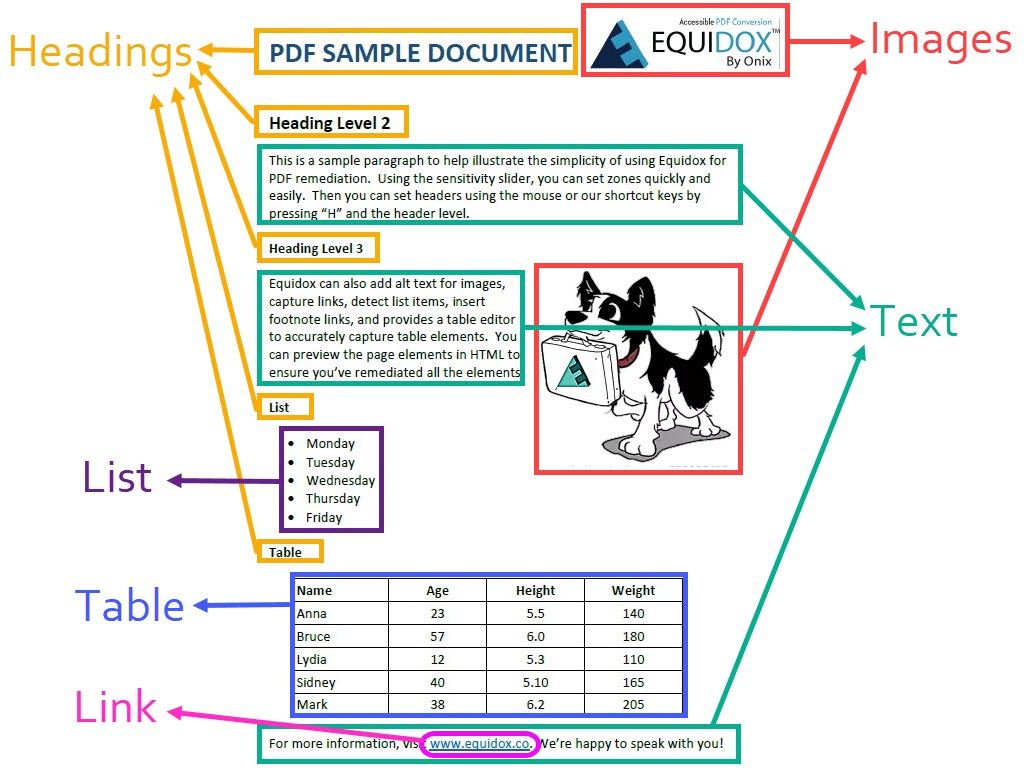 PDF document with arrows pointing to every different tagged element such as text, tables, lists, and images. demonstrating how to tag PDFs