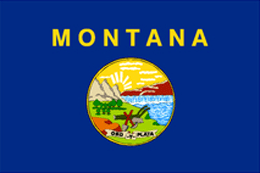 MOntana state flag