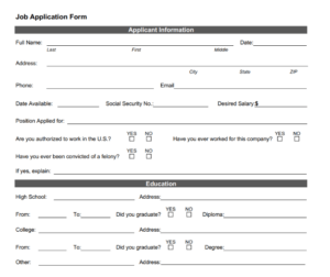 JOb application form with instructions left and beneath the form fields.