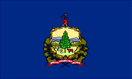 Vermont State Flag