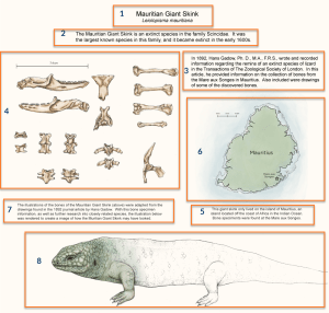 Page of scientific text showing several images and their corresponding text scattered on the page